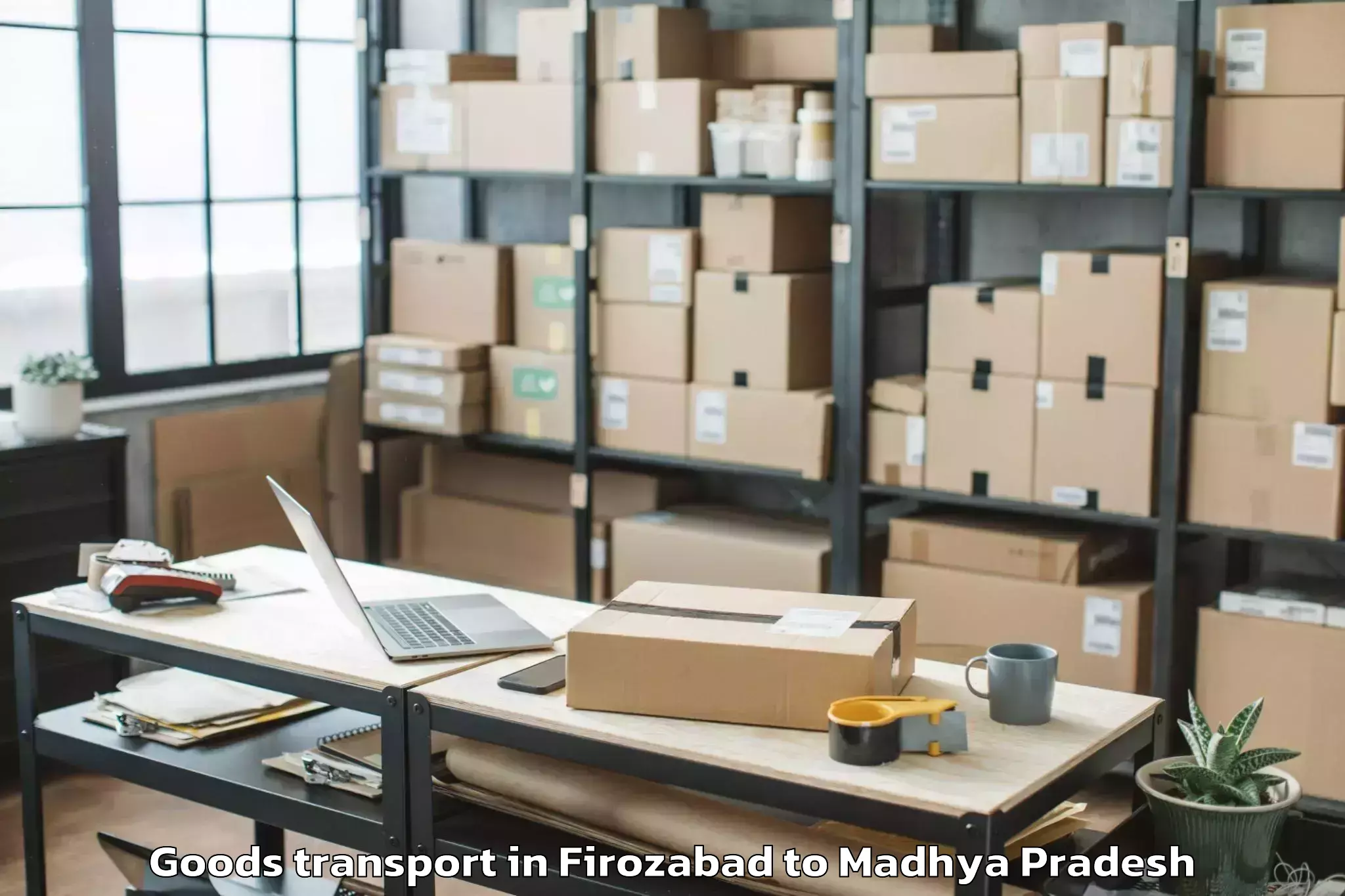 Reliable Firozabad to Nasrullahganj Goods Transport